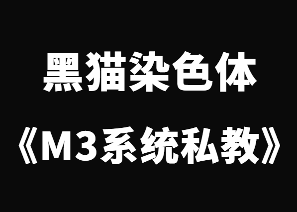 黑猫《终身制M3系统私教内部课程》-0000